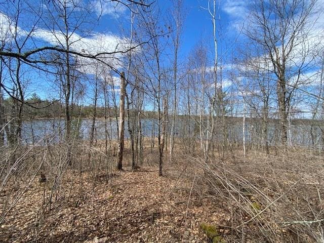 Listing photo 3 for LOT2 Pash Dr, Trego WI 54888