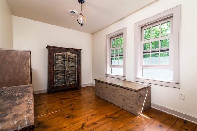 misc room with a healthy amount of sunlight and dark hardwood / wood-style floors