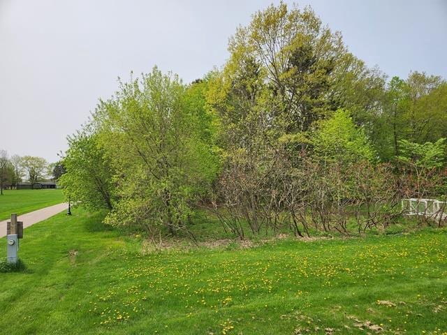 LOT8 3rd St, Pittsville WI, 54466 land for sale