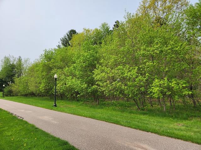 Listing photo 2 for LOT8 3rd St, Pittsville WI 54466