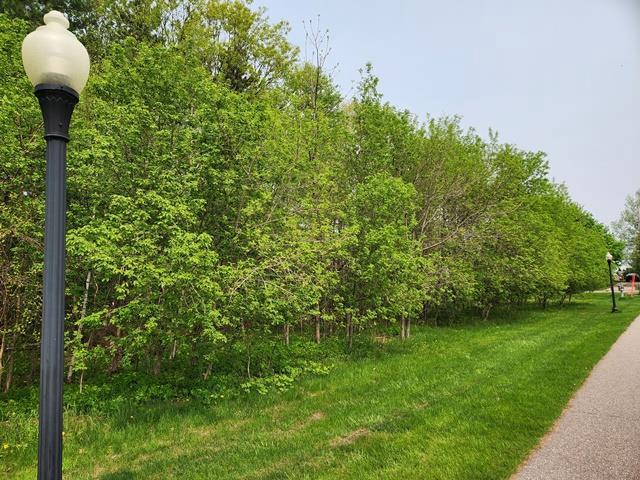 Listing photo 3 for LOT8 3rd St, Pittsville WI 54466