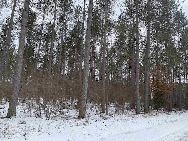 Listing photo 2 for ON River Rd W, Tomahawk WI 54487