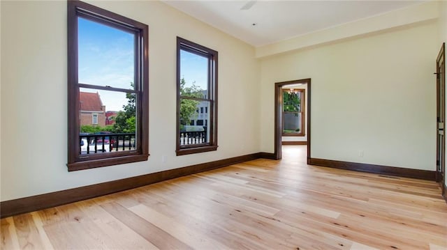 spare room with light hardwood / wood-style flooring