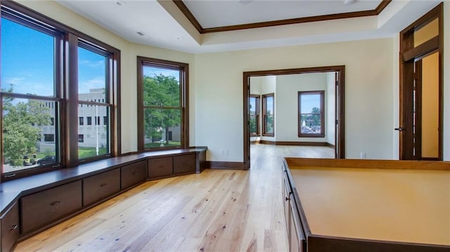 interior space featuring light wood-type flooring and a tray ceiling