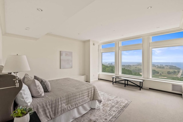 bedroom with light colored carpet