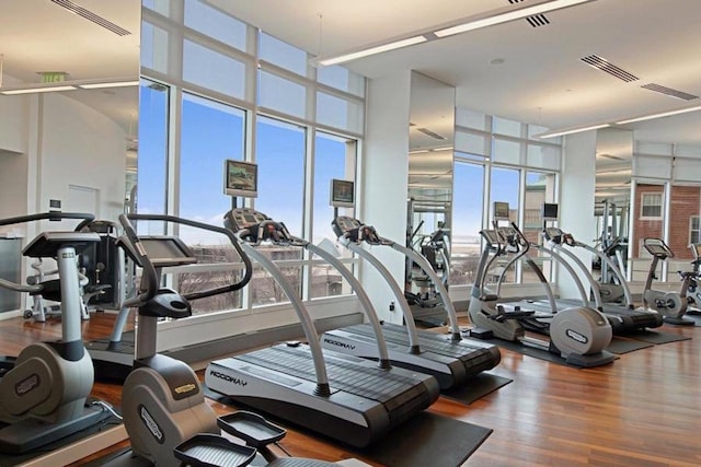 exercise room featuring floor to ceiling windows, a high ceiling, and wood-type flooring