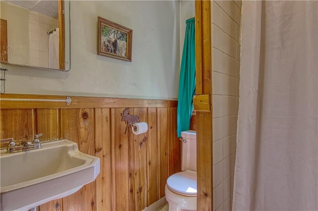 bathroom with toilet, wooden walls, and sink