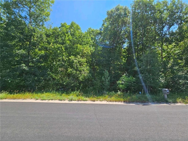 LOT73 Roosevelt Ave, Dresser WI, 54009 land for sale