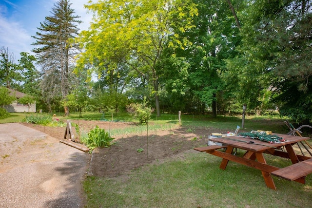 view of yard with a patio area