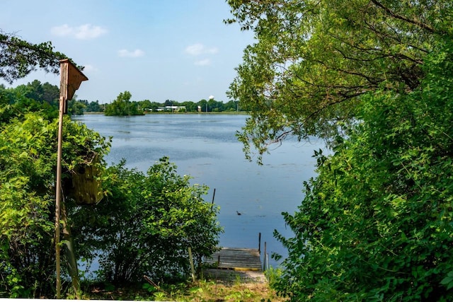 property view of water with a boat dock