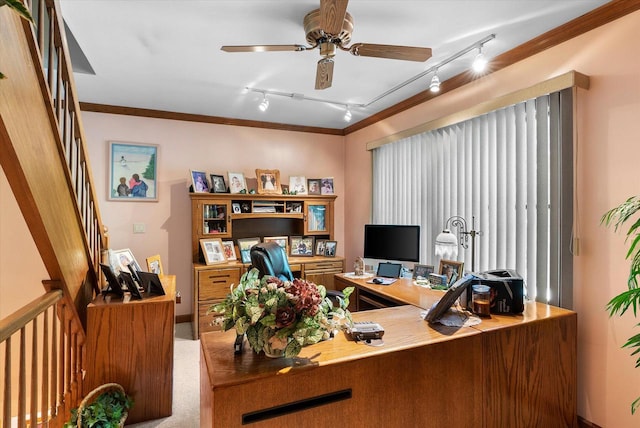 carpeted office featuring crown molding, ceiling fan, and track lighting