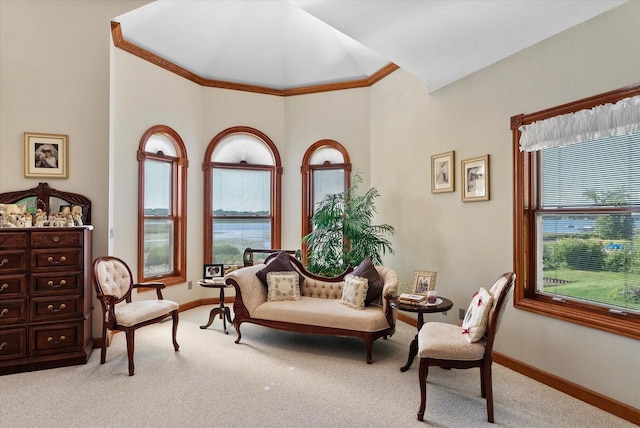 living area featuring light colored carpet