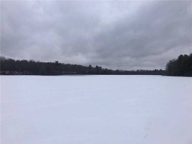 N2141 Pondell Ln, Bruce, WI 54819 - view of water view