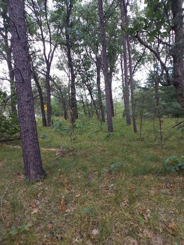 Listing photo 2 for LOT21 N Duck Creek Ct, Adams WI 53910