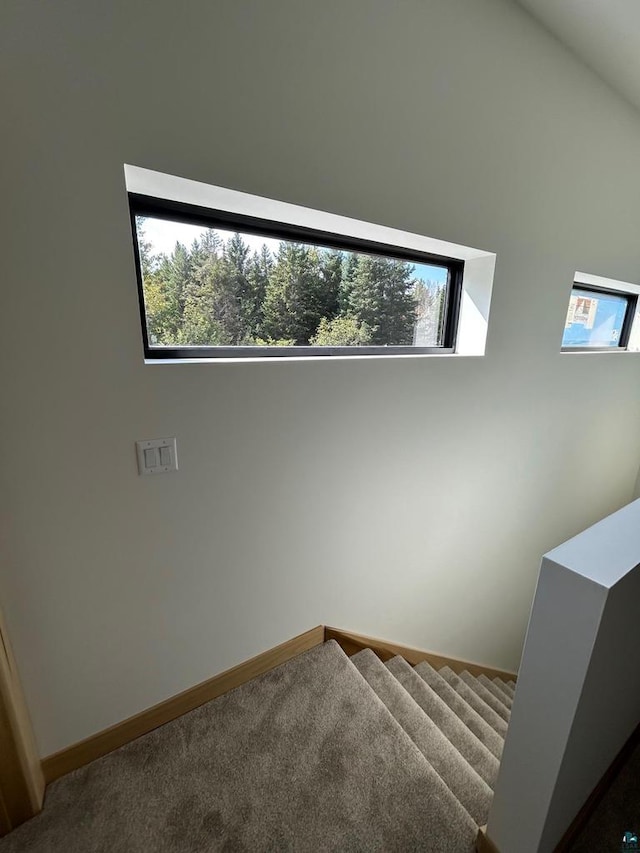 interior space featuring a wealth of natural light and carpet floors