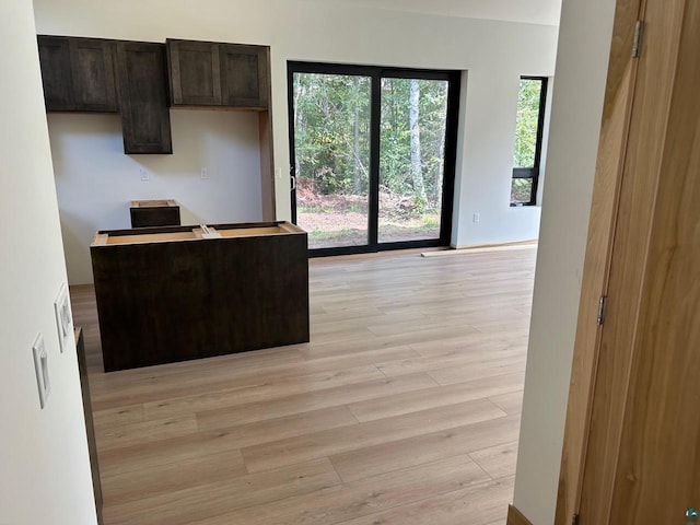 kitchen with dark brown cabinets and light wood-type flooring