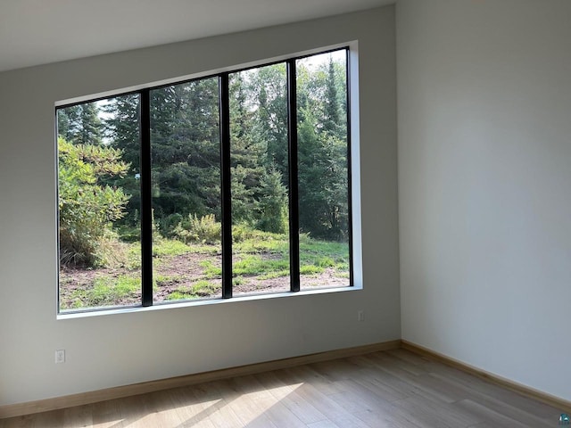 unfurnished room featuring wood-type flooring and vaulted ceiling