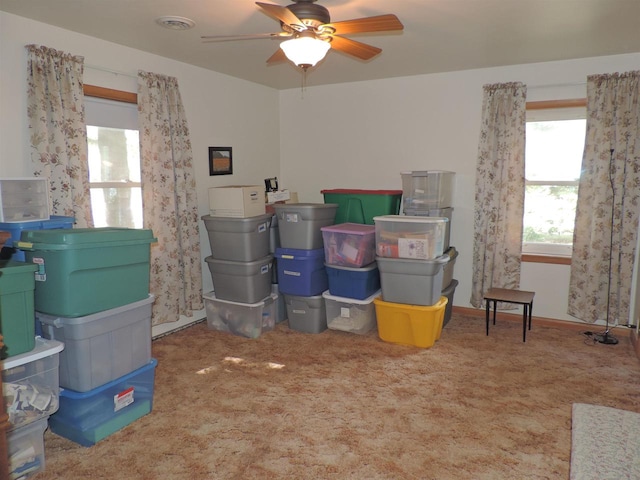 storage room featuring ceiling fan