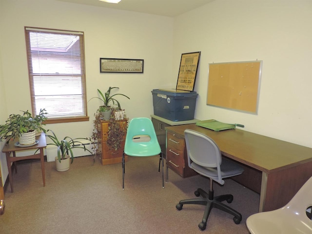 view of carpeted office space