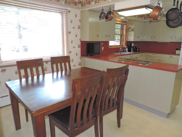 dining area featuring sink