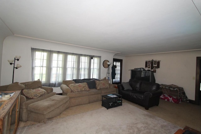 living room with carpet floors