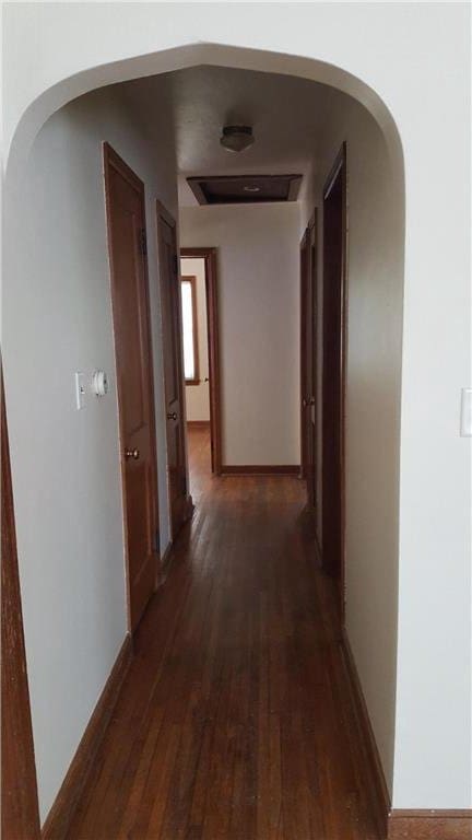 hallway with dark hardwood / wood-style flooring