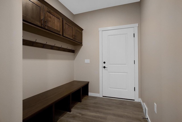 mudroom with dark wood-type flooring