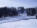 view of yard covered in snow