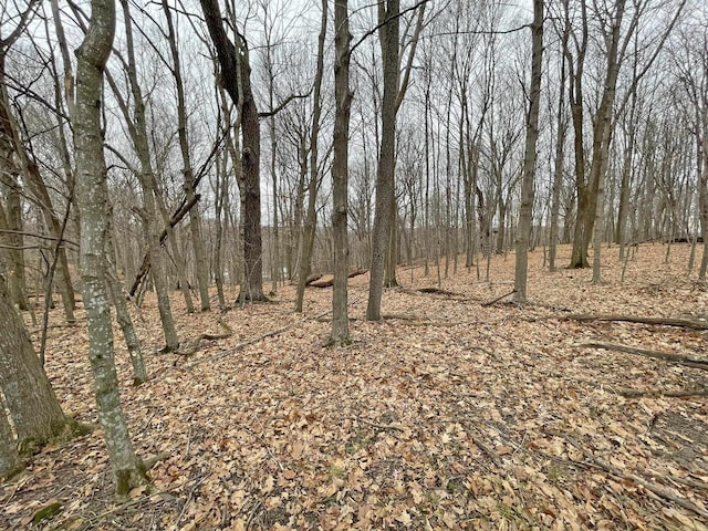 L150BLKFOREST Pine Cone Ln, Woodland WI, 53941 land for sale