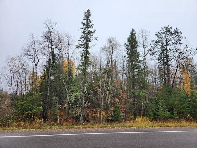 State Highway 86 Prt Of Sw-Nw, Ogema WI, 54490 land for sale