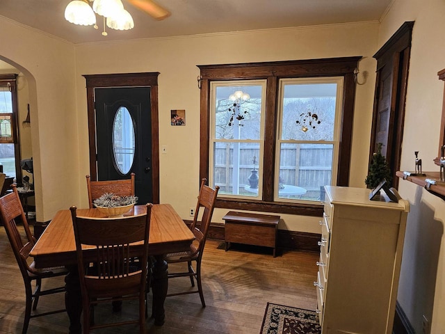 dining area with ornamental molding, ceiling fan, and dark wood-type flooring