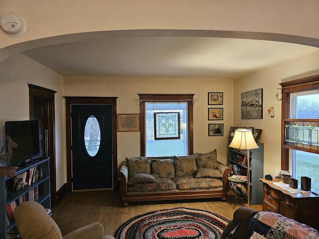 living room with hardwood / wood-style floors