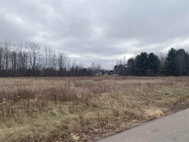 Mader St, Gresham WI, 54128 land for sale