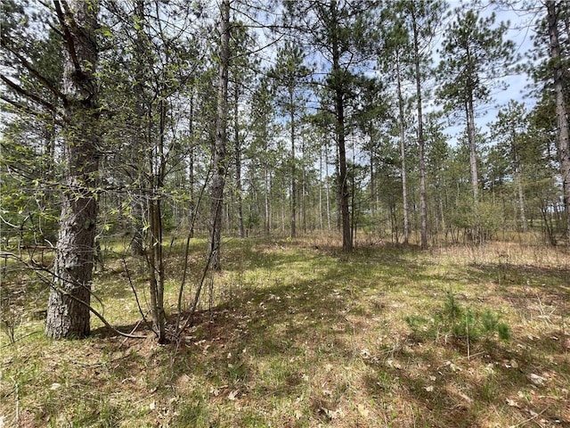 LOT1 Elaine Dr, Hayward WI, 54843 land for sale