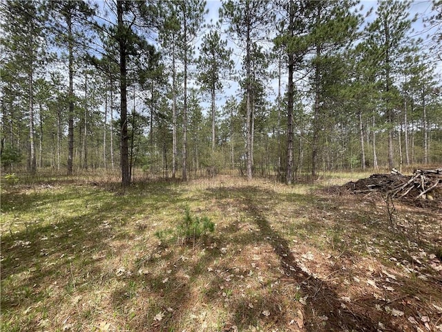 Listing photo 3 for LOT1 Elaine Dr, Hayward WI 54843