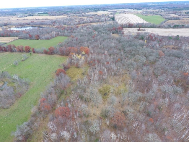 XXX 110th St, Amery WI, 54001 land for sale