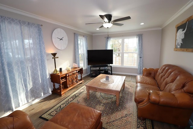 living room featuring light hardwood / wood-style floors, ceiling fan, and ornamental molding