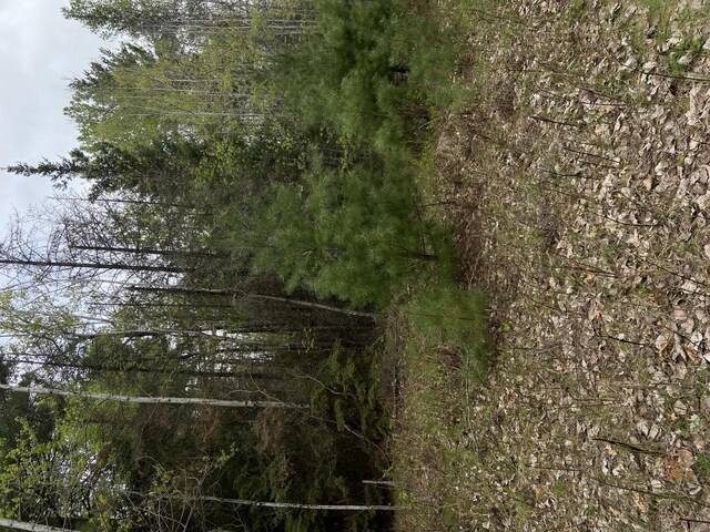 LT0 Barker Rd, Amberg, WI 54102