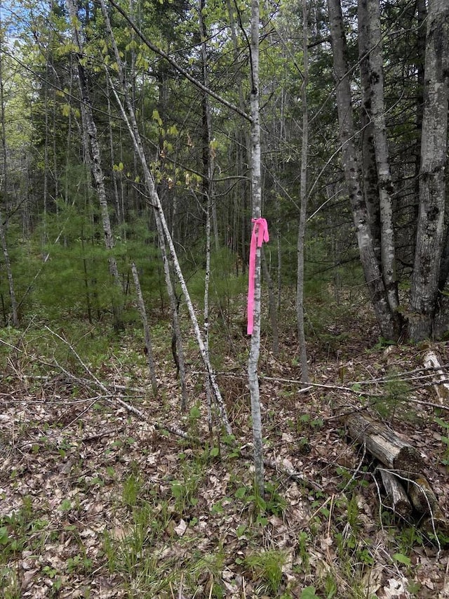 LT0 Barker Rd, Amberg, WI 54102