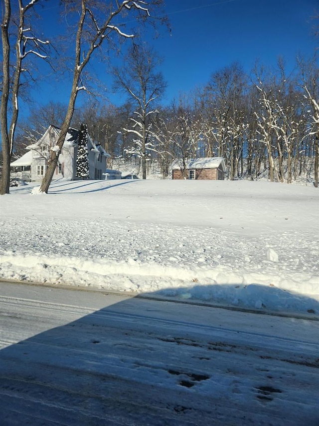 S1205 County Road Y, Wonewoc, WI 53968 - view of snowy yard