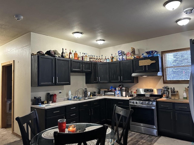 kitchen with sink, hardwood / wood-style floors, and stainless steel range with gas stovetop