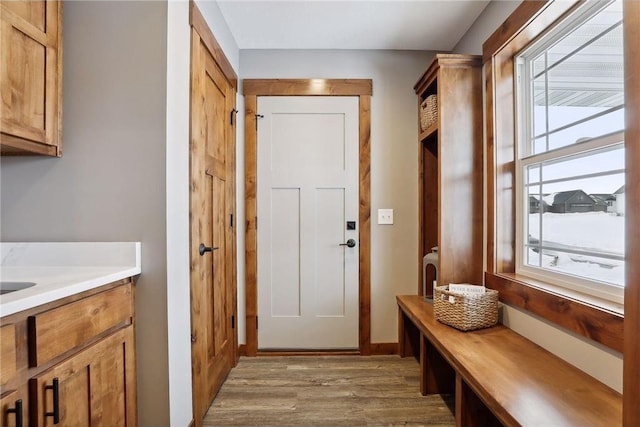 mudroom featuring a wealth of natural light and light hardwood / wood-style flooring