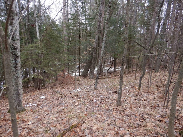 Listing photo 2 for N Marl Lake Rd, Pound WI 54161