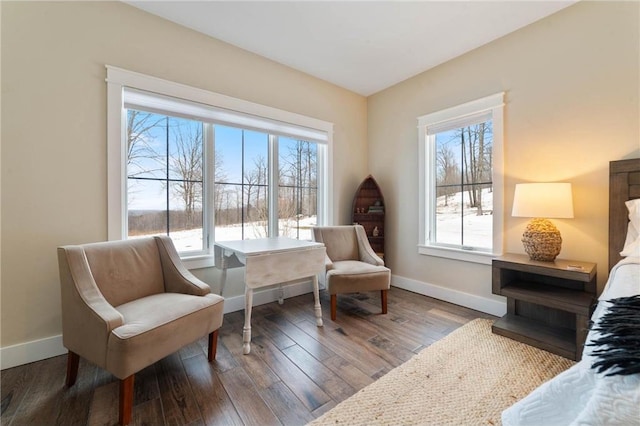 living area with dark wood-type flooring