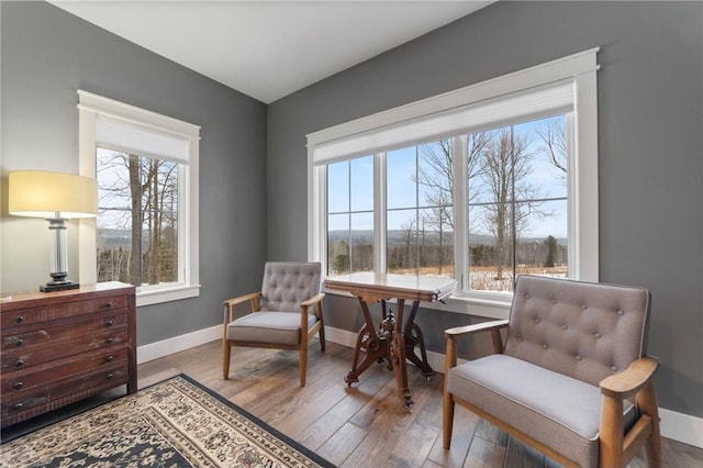 sitting room featuring light hardwood / wood-style flooring