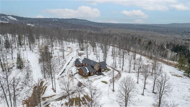 snowy aerial view featuring a mountain view