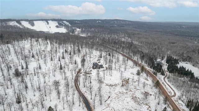 view of snowy aerial view