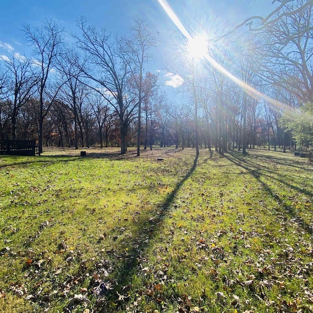 view of yard featuring a rural view