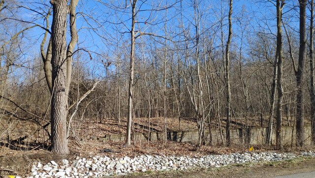 2020 E Lake Shore Dr, Twin Lakes, WI 53181