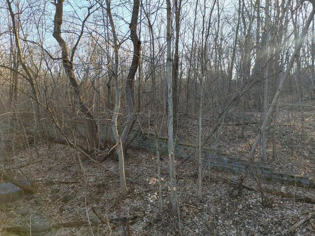 2020 E Lake Shore Dr, Twin Lakes, WI 53181
